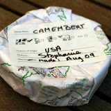 Camembert