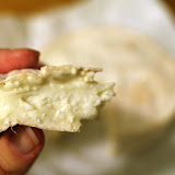Goat Brie