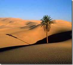Sahara. Marruecos