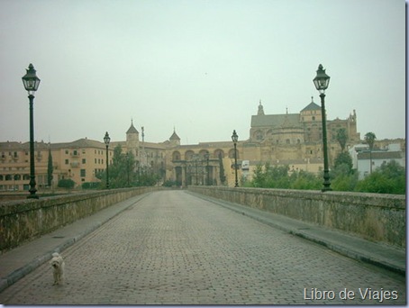 Vistas desde el Puente Romano de Córdoba. Al frente la Mezquita y el Alcázar de los Reyes Cristianos