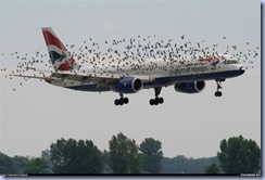 No es normal que ocurra esto pero por si acaso lo pasarás mejor lo más adelante posible en el avión