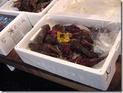 13Japan-FishMarket 029