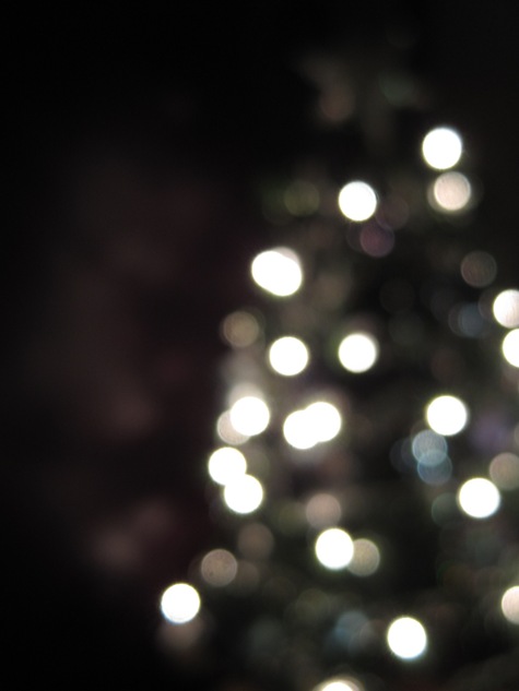 IMG_0993 IMG_0993