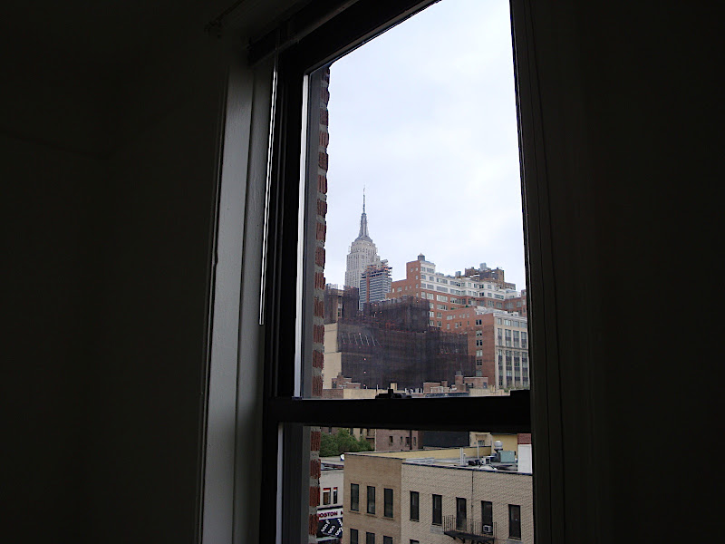 the view