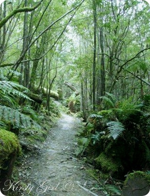 Mt. Wellington Track #1