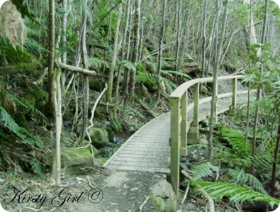 Mt. Wellington Track #4 Mt. Wellington Track #4