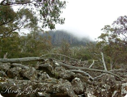 Mt. Wellington Track #8