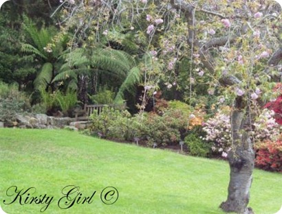 Picture 057gardens3 Picture 057gardens3