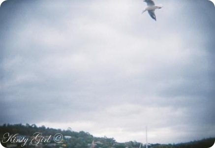 holga-seaside-2 holga-seaside-2