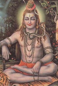 [siva_meditating_brijbasi[3].jpg]