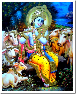 Lord Krishna in Vrindavana