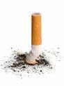 [cigarette[2].jpg]