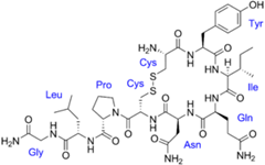 300px-Oxytocin_with_labels