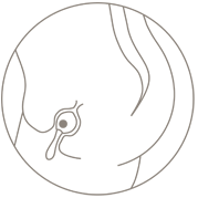 insertsmartballsuno