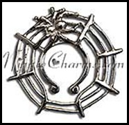nipple-shields-spider-web-150