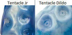 [Differencebetweensuckers2.png]