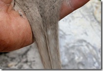 IMG_5787 IMG_5787