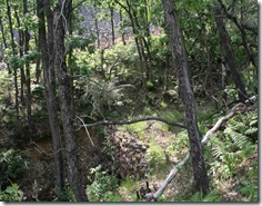 IMG_5752 IMG_5752