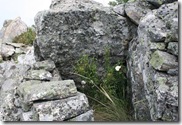 IMG_5920 IMG_5920