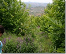 IMG_5989 IMG_5989
