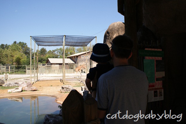 [2010-09-29 k'ville zoo (7)[3].jpg]