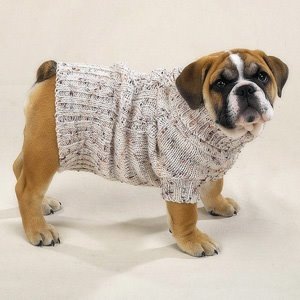 [dog sweater 1[7].jpg]