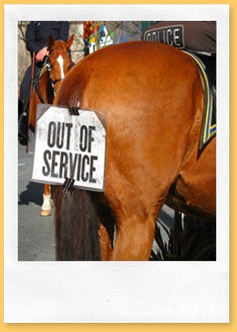 Inaugural-Horse Inaugural-Horse