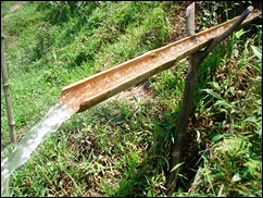 Bamboo-irrigatio Bamboo-irrigatio