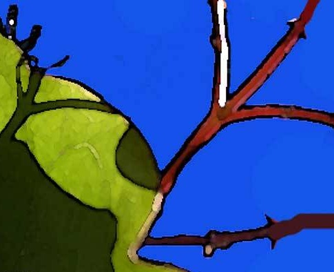 [Abstract-Art-Leaf2[7].jpg]