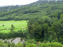 The cogwheel train rolling along a very green section of the hill side - Thumbnail