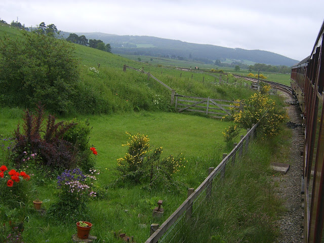 Scotland - Pretty view of the greenery just outside the train