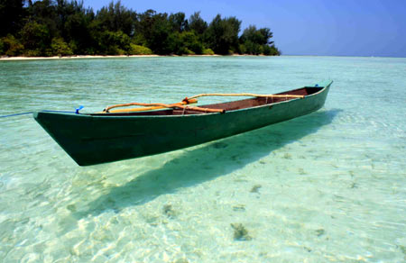 Wonderfull Karimunjawa palm beach