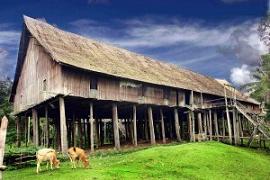Huma Betang, traditional house, dayak house, borneo