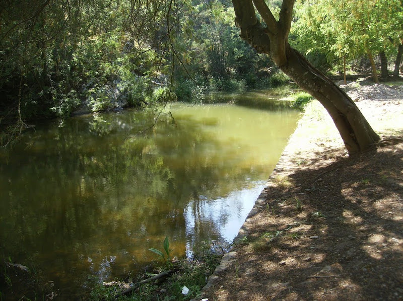 Penedo Furado