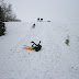 Sledding / _MG_7344.JPG