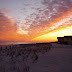 Gulf Shores Trip / DSC02205.JPG