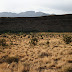Horseback Ride / _MG_8491.JPG