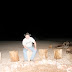 Horseback Ride / _MG_8578.JPG