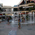 LA and Disneyland / _MG_8691.JPG