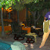 Halloween 2007 / DSC02403.JPG