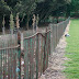 Phoenix Park / _MG_0770.JPG