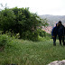 Transylvania Hike / 100_1365.JPG
