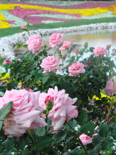 DSC05266.JPG