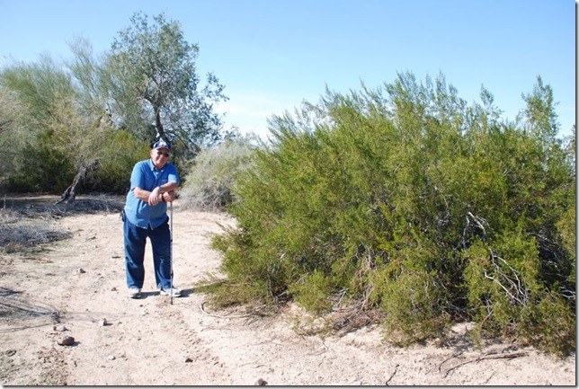 01-31-10 Hi Jolly Quartzsite (15)