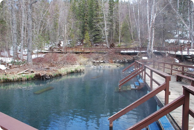 04-20-09 Liard Springs 009