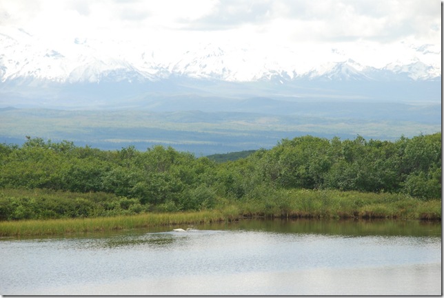 06-25-09 Kantishna Experience Tour 175