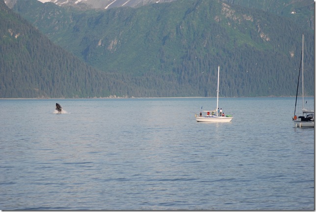 07-05-09 Seward 361