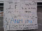 Zona 5 - Inf Femení Zona 5 - Inf Femení