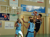 Loris entrant a cistella