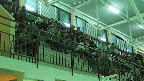 Infantil H1 - Esporles Infantil H1 - Esporles
